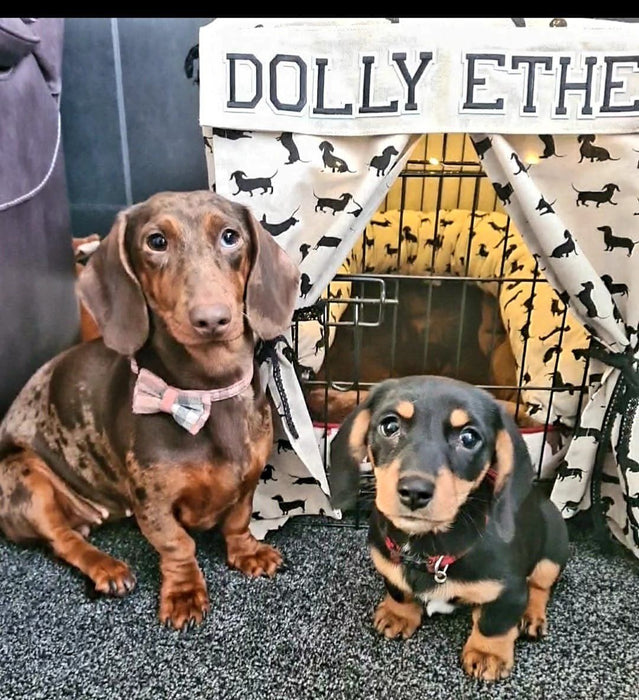 DOG CRATE COVER and BOLSTER CUSHION CUTE DACHSHUND DESIGN FABRIC Handmade in the UK ONE SIZE BLACK, GREY or RED