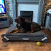 DOG BED TEDDY DESIGN S M L PAWFECTLY UNIQUE Horizontal Design Personalised Wooden 9 Customisable Colours